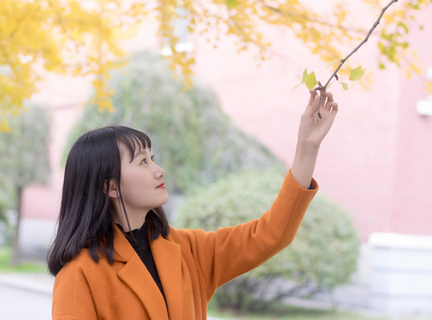 菲律宾的驾照换国内的(驾照转换新流程)